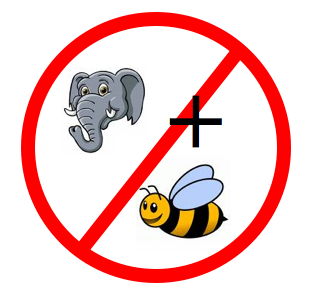 elephant-and-bee